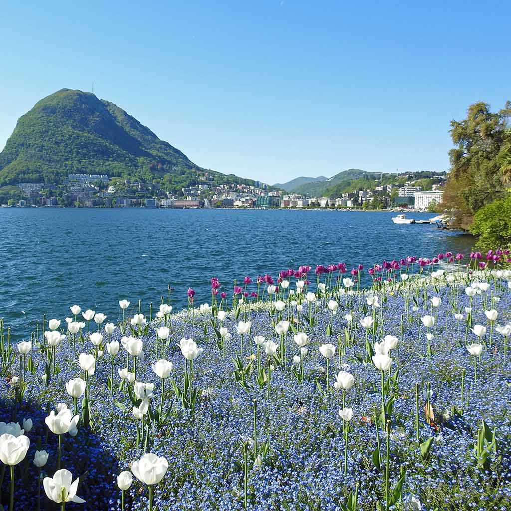 Inlingua-Lugano-9
